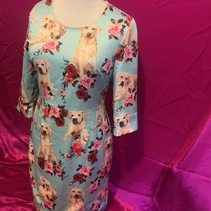 The pale blue DG golden retriever dress size 10 , like new condition
